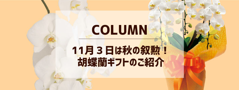 秋の叙勲 褒章を祝うお花の贈り方 胡蝶蘭のおすすめギフト Tsuboikaen 坪井花苑 名古屋市中区の老舗花屋