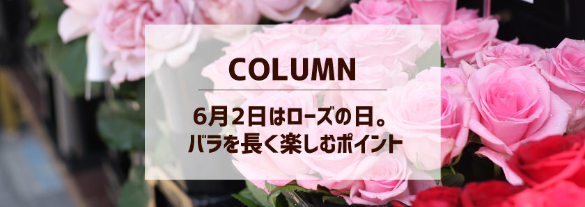 6 2はローズの日 バラを長く楽しむポイント Tsuboikaen 坪井花苑 名古屋市中区の老舗花屋