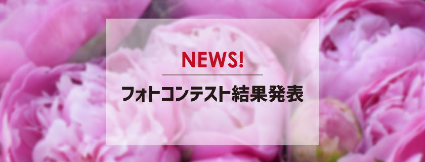 芍薬フェア フォトコンテスト結果発表 Tsuboikaen 坪井花苑 名古屋市中区の老舗花屋