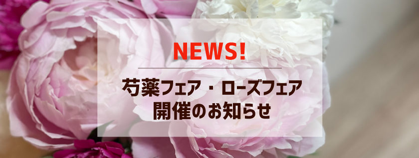 芍薬フェア ローズフェア同時開催決定